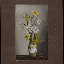 Stereograph - Still Life with Daffodils in a Vase, circa 1920