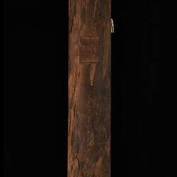 Timber Sample - Yellow Malle, Eucalyptus incrassata, Victoria, 1885