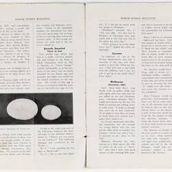 Bulletin - Kodak Australasia Pty Ltd, 'Kodak Works Bulletin', Vol 1, No 7, Oct 1923, Pages 4-5