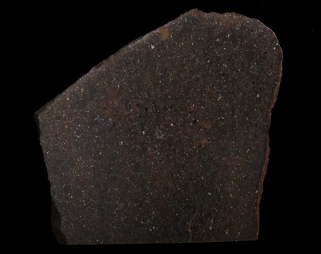 Armel Meteorite. [E 10461]
