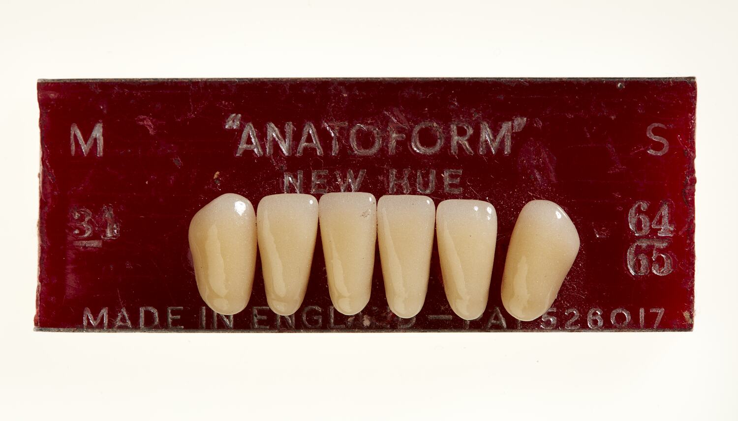 Artificial Teeth - Incisors, Anatoform, circa 1925