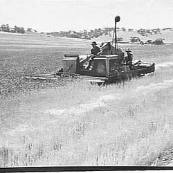 Photograph - H.V. McKay Massey Harris, Farm Equipment Manufacture & Field Trials, Andrews, South Australia, Jan 1940