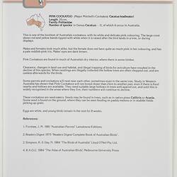 Poster - Kodak Australasia Pty Ltd, Fact Sheet, 'Pink Cockatoo', 1986