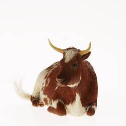 Model of seated brown and white cow. Front view.