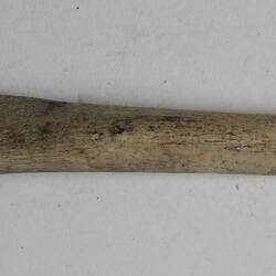 Bone needle collected from a kitchen midden on Navarino Island, Chile between May and June 1929.