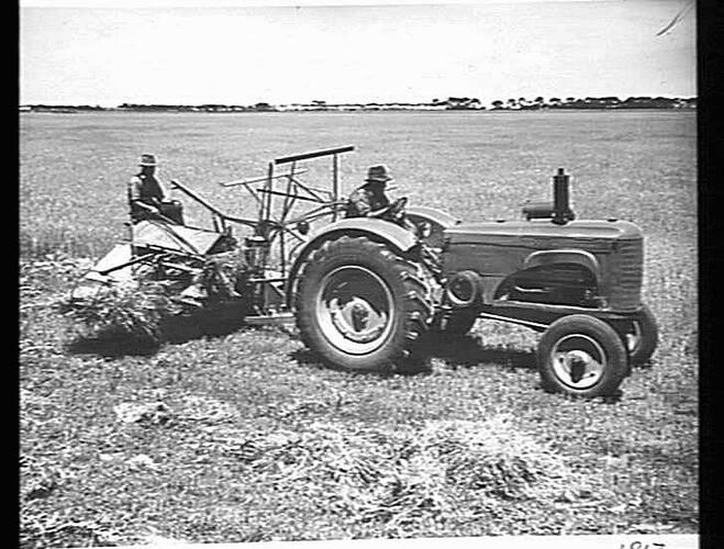 8 FT P.T.O. 6B BINDER & A 203 TRACTOR TAKEN AT WATKINS FARM, SUNSHINE: NOV 1945