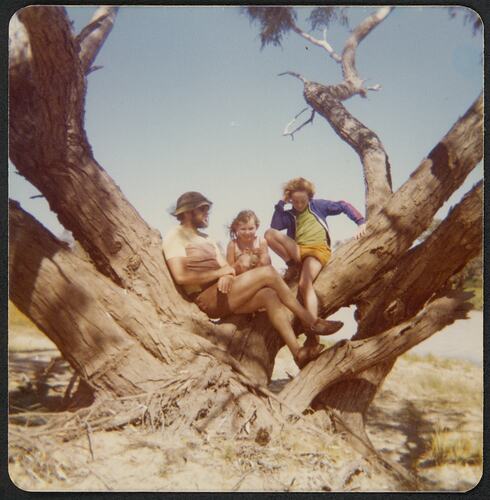 Man with a young girl and boy sitting in a tree.