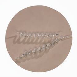 Light brown disc with clear glass capsule-shaped pieces on top.