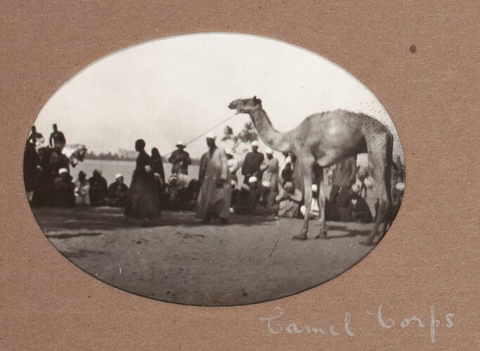 Man leading camel with other men around.