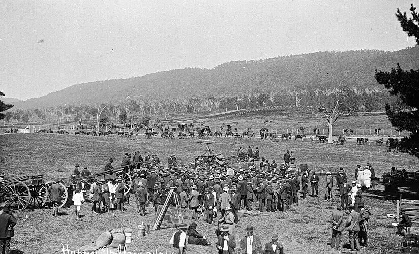 Negative - 'Happy Valley', Myrtleford, Victoria, 21 Mar 1919