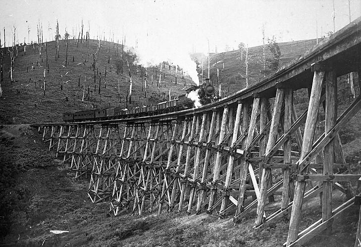 A steam train crossing a timber trestle bridge, Neerim, Gippsland, about 1915