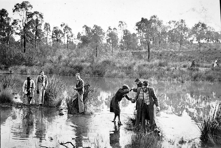 [A group of walkers traversing swampy ground, Bendigo, about 1937.]