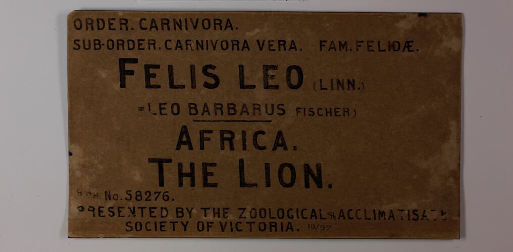 brown exhibition label with black hand painted text.