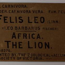 brown exhibition label with black hand painted text.