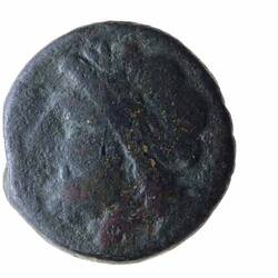 Coin - Arpi, Apulia, Italy,  circa 250 BC