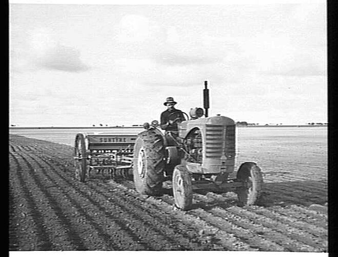 AFTER HEAVY RAIN. MR. M. MCKEW, GOOROE, VIA ST. ARNAUD, VIC. MAKES LIGHT WORK OF THE SOWING (400 ACRES) WITH HIS NEW, 500-SERIES `SUNTYNE' AND 744 DIESEL TRACTOR: JUNE 1952