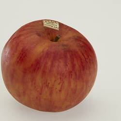 Wax model of red apple.
