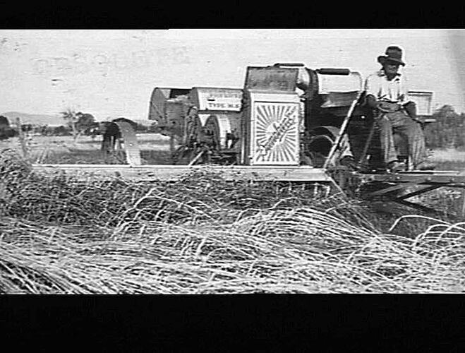 Photograph - H. V. McKay factory and/or equipment