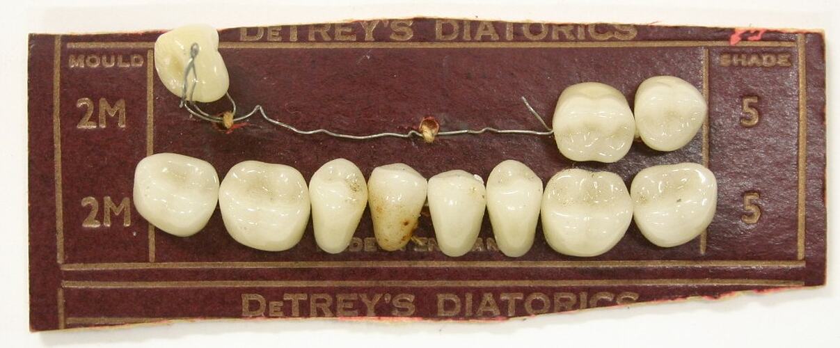 Artificial teeth wired to backboard.