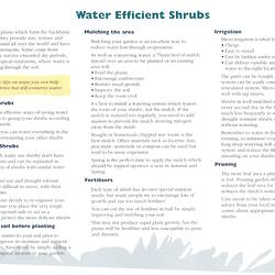 Leaflet - 'Water Efficient Shrubs', City West Water, 1996
