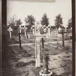 Grave with white cross and flower vase in foreground, rows of graves behind and row of trees in background.