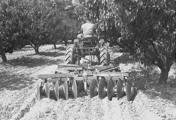 Farmall A Tractor & GL-9A Harrow