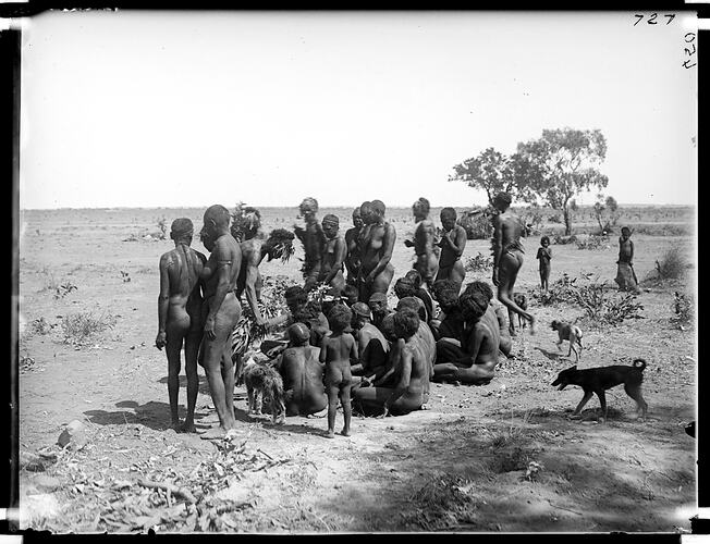 Part of a mourning ceremony for a Warumungu woman, handing over the package containing the arm bones to the woman's father, Tennant Creek, Central Australia, 6 August 1901