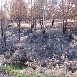 Digital Photograph - Erosion in Gully, Black Saturday Bushfires Aftermath, Rosewhite, Victoria, 28 Mar 2009