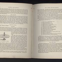 Book - Cassell's Book of In-Door Amusements, Card Games & Fireside Fun, 5th Edition, 1888