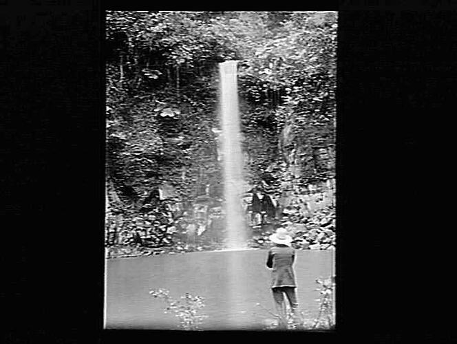 glass-negative-waterfall-by-a-j-campbell-queensland-circa-1900