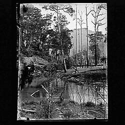 Glass Negative - Yarra River, by A.J. Campbell, Warburton District, Victoria, 1906