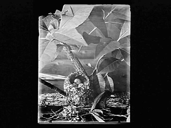 Negative - Glass