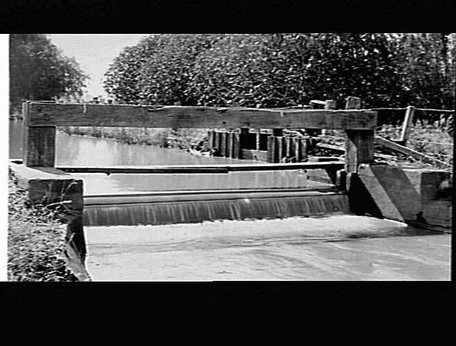 MERRIGUM - MAIN CHANNEL - DROP BARS