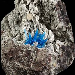 Pentagonite. [M 51744]