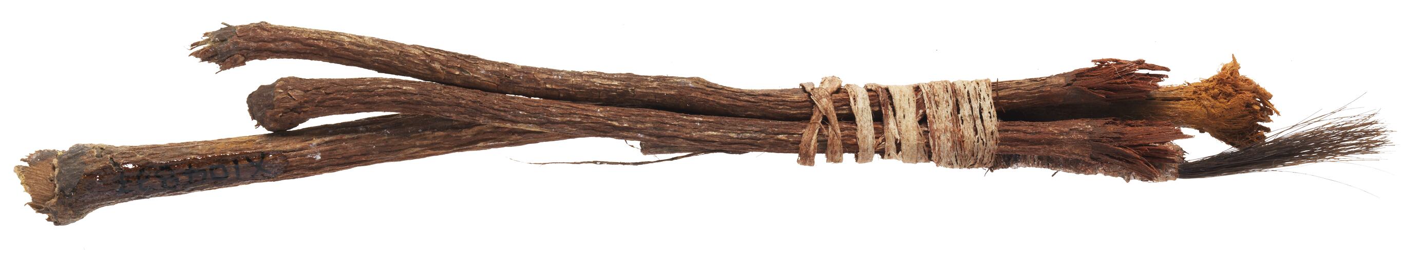 Brush, Australia, Northeastern Arnhem Land
