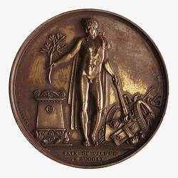 Medal - Peace of Vienna, Napoleon Bonaparte (Emperor Napoleon I), France, 1809