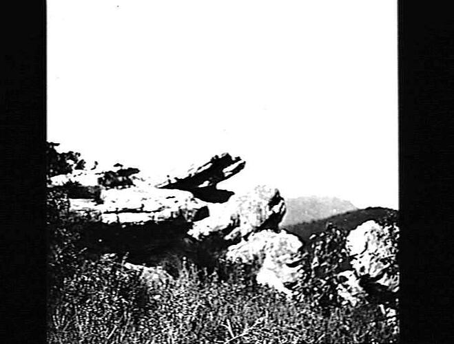 Photograph