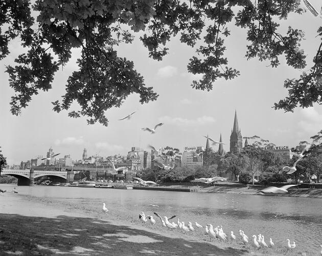 Cityscape View of Melbourne, Victoria, 22 Oct 1959