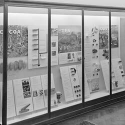 Cocoa, tea and coffee display in Swinburne Hall, Science Museum, Melbourne, 1973