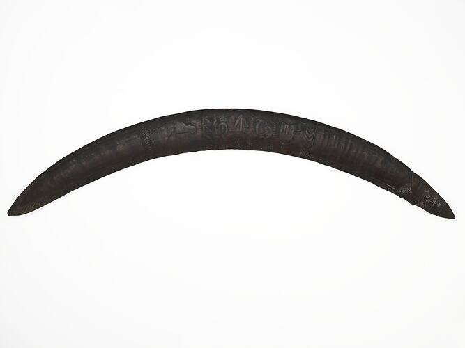 Boomerang - obverse