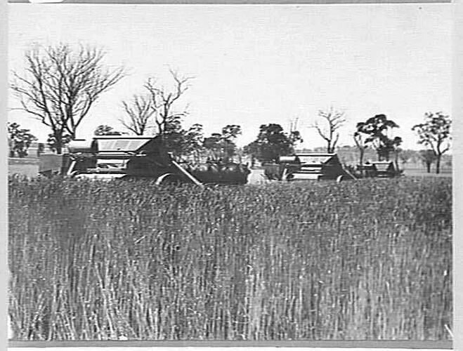 A.C FORD BALLINQUARAH. FANLEE N.S.W.