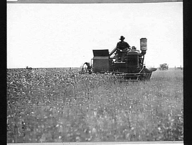 12 FT. MOTOR HEADER AT WORK AT SYDENHAM: JAN 1925