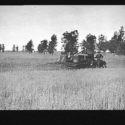Photograph - H.V. McKay Pty Ltd, Harvesting on Atkinson's Farm with Sunshine Auto Header, Berrigan, New South Wales, 1926