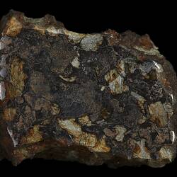 Bencubbin Meteorite. [E 4960]