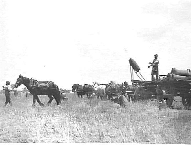 "LOADING WHEAT WITH A SUNSHINE BAGLOADER ON MR J. BRYANT'S FARM, WEST COWRA: DEC 1928"