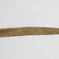 A bark stripping tool given to Baldwin Spencer by Tekenica Williams, Navarino Island, May 1929.