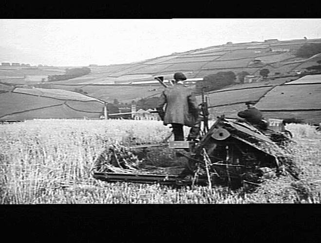 SUNSHINE BINDER IN ENGLAND: GIVES YOU SOME IDEA OF THE SIZE OF THE FIELDS AND THE ONE IN WHICH THE MACHINE WAS ACTUALLY WORKING WAS NOT MORE THAN ONE ACRE IN EXTENT: SEPT 1943
