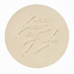 Light brown disc with clear glass capsule-shaped pieces on top.