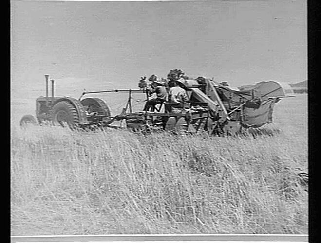 10 FT H.S.T. HEADER WITH POWER TAKE OFF 26/41 TRACTOR J.CONNOLLY GUNNEDAH N.S.W. DEC 1938 (SEE PHOTOS ON NEXT PAGE).
