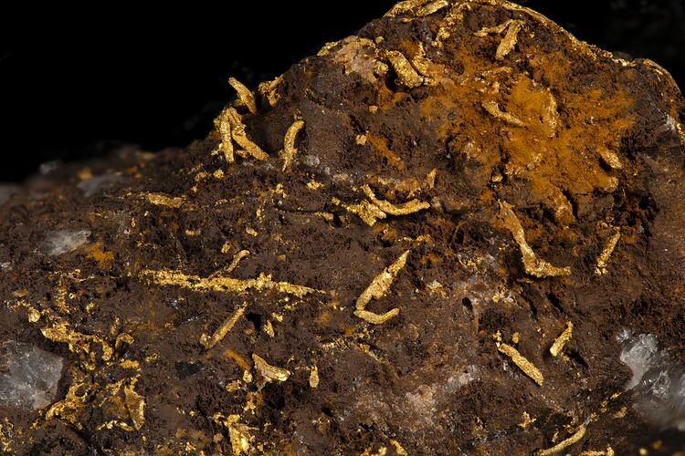 Brown rock with worm-shaped gold pieces throughout.